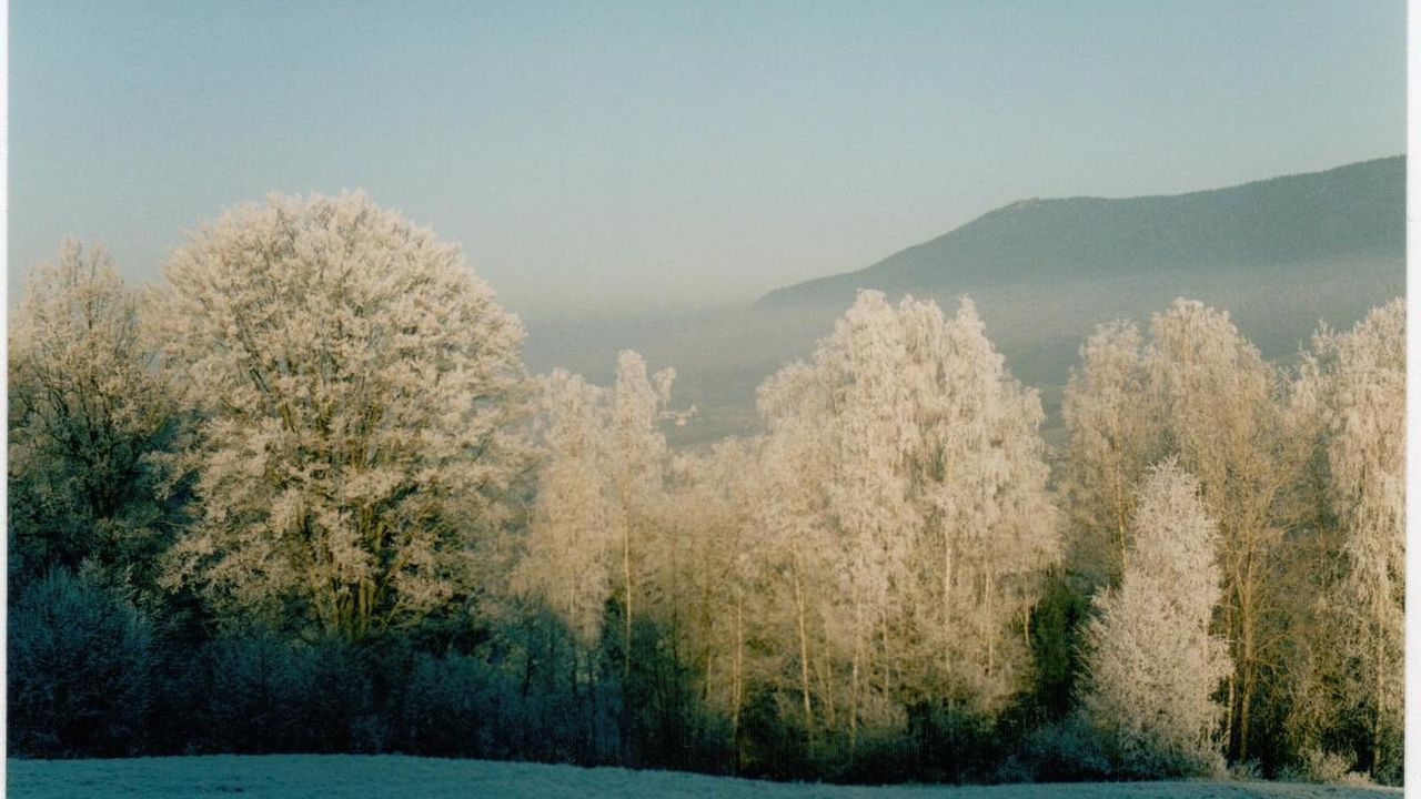 Winter in Bach Winter in Bach